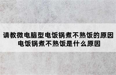 请教微电脑型电饭锅煮不熟饭的原因 电饭锅煮不熟饭是什么原因